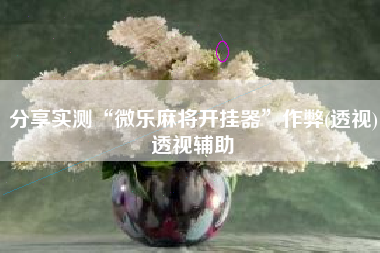 分享实测“微乐麻将开挂器”作弊(透视)透视辅助