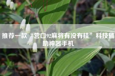 推荐一款“营口92麻将有没有挂”科技辅助神器手机