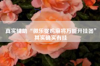 真实辅助“微乐捉鸡麻将万能开挂器”其实确实有挂