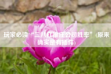 玩家必读“二八杠推庄公司胜率”(原来确实是有插件)