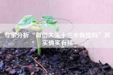 专家分析“微信大头十三水有挂吗”其实确实有挂