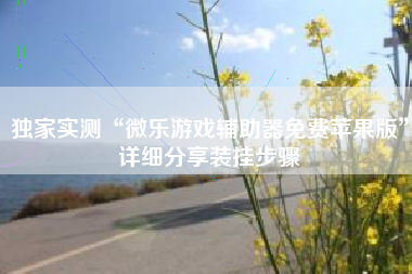 独家实测“微乐游戏辅助器免费苹果版”详细分享装挂步骤