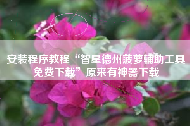 安装程序教程“智星德州菠萝辅助工具免费下载”原来有神器下载