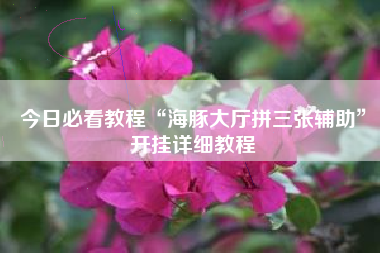 今日必看教程“海豚大厅拼三张辅助”开挂详细教程