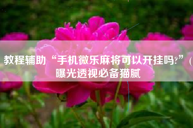 教程辅助“手机微乐麻将可以开挂吗?”(曝光透视必备猫腻