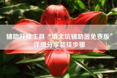 辅助开挂工具“填大坑辅助器免费版”详细分享装挂步骤