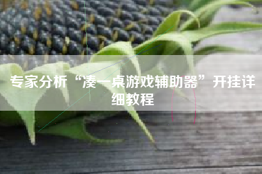 专家分析“凑一桌游戏辅助器”开挂详细教程