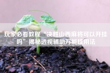 玩家必看教程“决胜山西麻将可以开挂吗”揭秘透视辅助万能挂用法