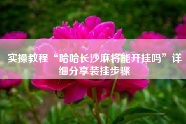 实操教程“哈哈长沙麻将能开挂吗”详细分享装挂步骤