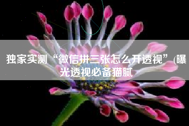 独家实测“微信拼三张怎么开透视”(曝光透视必备猫腻