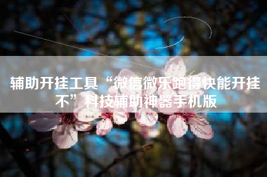 辅助开挂工具“微信微乐跑得快能开挂不”科技辅助神器手机版