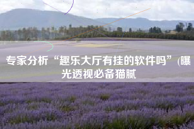 专家分析“趣乐大厅有挂的软件吗”(曝光透视必备猫腻