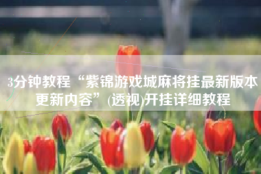 3分钟教程“紫锦游戏城麻将挂最新版本更新内容”(透视)开挂详细教程