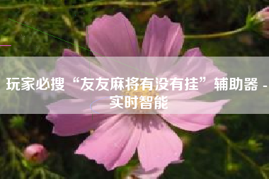 玩家必搜“友友麻将有没有挂”辅助器 - 实时智能