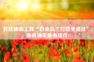 开挂辅助工具“白金岛三打哈免费挂”(原来确实是有插件)