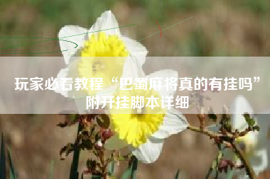 玩家必看教程“巴蜀麻将真的有挂吗”附开挂脚本详细