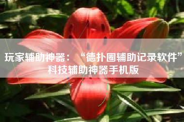 玩家辅助神器：“德扑圈辅助记录软件”科技辅助神器手机版