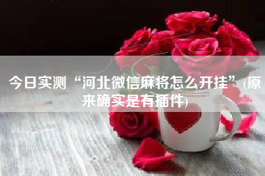 今日实测“河北微信麻将怎么开挂”(原来确实是有插件)