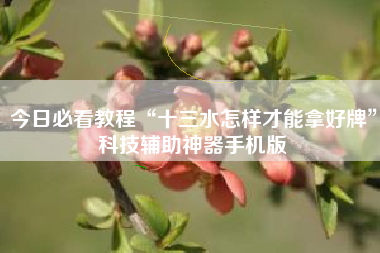 今日必看教程“十三水怎样才能拿好牌”科技辅助神器手机版