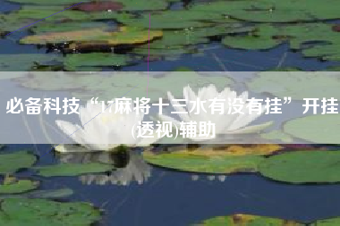 必备科技“17麻将十三水有没有挂”开挂(透视)辅助