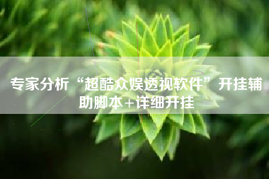 专家分析“超酷众娱透视软件”开挂辅助脚本+详细开挂