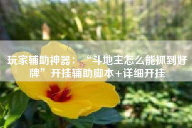 玩家辅助神器：“斗地主怎么能抓到好牌”开挂辅助脚本+详细开挂