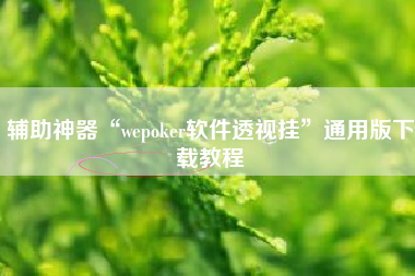 辅助神器“wepoker软件透视挂”通用版下载教程