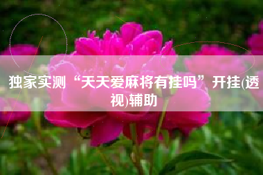 独家实测“天天爱麻将有挂吗”开挂(透视)辅助