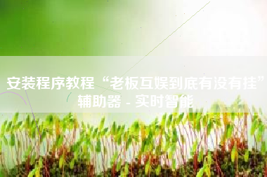 安装程序教程“老板互娱到底有没有挂”辅助器 - 实时智能