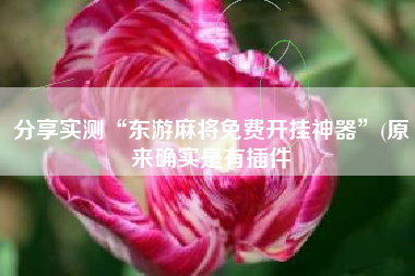 分享实测“东游麻将免费开挂神器”(原来确实是有插件