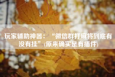 玩家辅助神器：“微信群打麻将到底有没有挂”(原来确实是有插件)