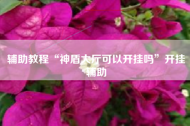 辅助教程“神盾大厅可以开挂吗”开挂辅助