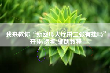 我来教你“新密瓜大厅拼三张有挂吗”开挂(透视)辅助教程