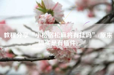 教程分享“小松宿松麻将有挂吗”(原来确实是有插件)