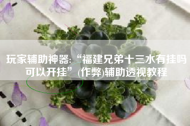玩家辅助神器:“福建兄弟十三水有挂吗可以开挂”(作弊)辅助透视教程