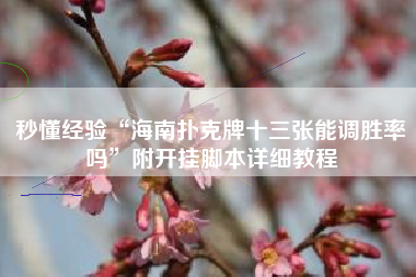 秒懂经验“海南扑克牌十三张能调胜率吗”附开挂脚本详细教程