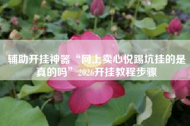 辅助开挂神器“网上卖心悦踢坑挂的是真的吗”2026开挂教程步骤