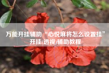 万能开挂辅助“心悦麻将怎么设置挂”开挂(透视)辅助教程