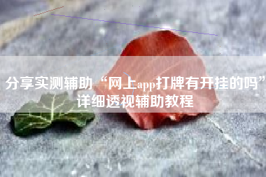 分享实测辅助“网上app打牌有开挂的吗”详细透视辅助教程