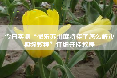 今日实测“微乐苏州麻将挂了怎么解决视频教程”详细开挂教程