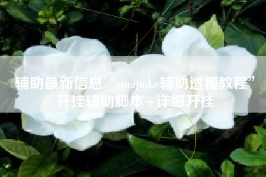 辅助最新信息“waapoke辅助透视教程”开挂辅助脚本+详细开挂
