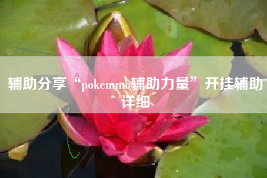 辅助分享“pokemmo辅助力量”开挂辅助详细