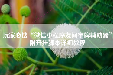 玩家必搜“微信小程序友间字牌辅助器”附开挂脚本详细教程