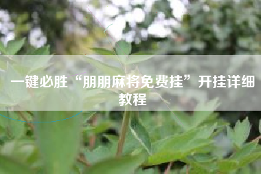 一键必胜“朋朋麻将免费挂”开挂详细教程