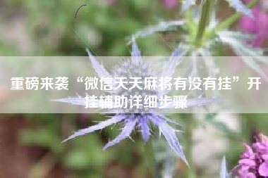 重磅来袭“微信天天麻将有没有挂”开挂辅助详细步骤