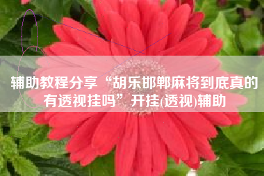 辅助教程分享“胡乐邯郸麻将到底真的有透视挂吗”开挂(透视)辅助