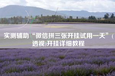 实测辅助“微信拼三张开挂试用一天”(透视)开挂详细教程