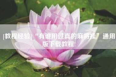 [教程经验]“有谁用过真的麻将挂”通用版下载教程!