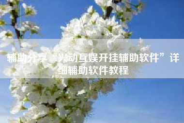 辅助分享“兴动互娱开挂辅助软件”详细辅助软件教程