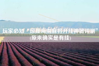 玩家必知“琼崖海南麻将开挂神器评测”(原来确实是有挂)